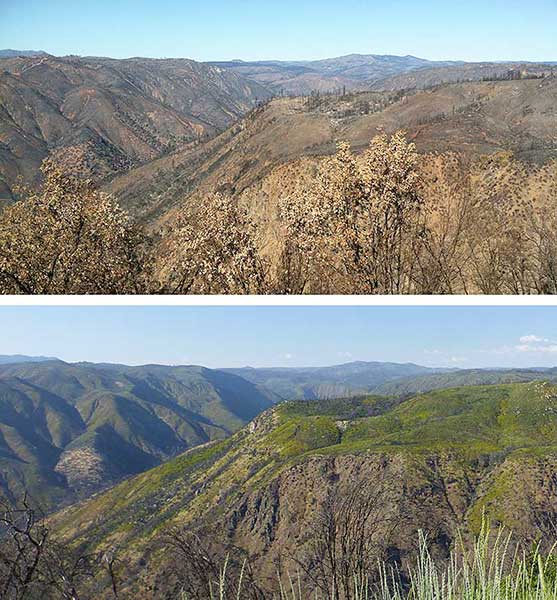 Rim Fire October 2013 and June 2016