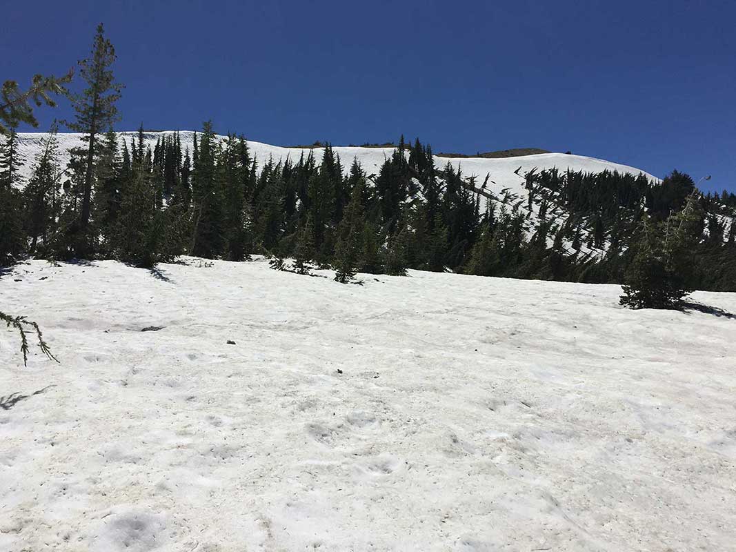 Losing the trail in snowfield