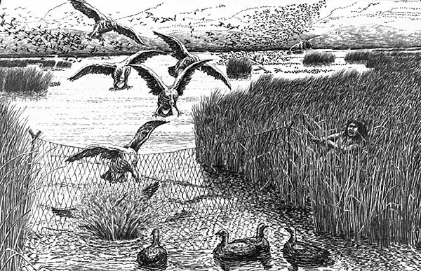 Illustration of first people catching birds with net