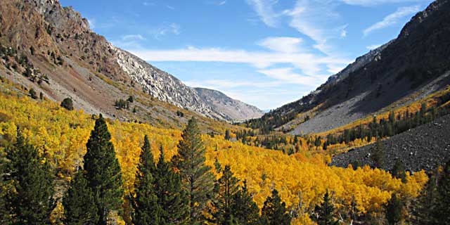 Fall colors in Lundy Canyon, looking east