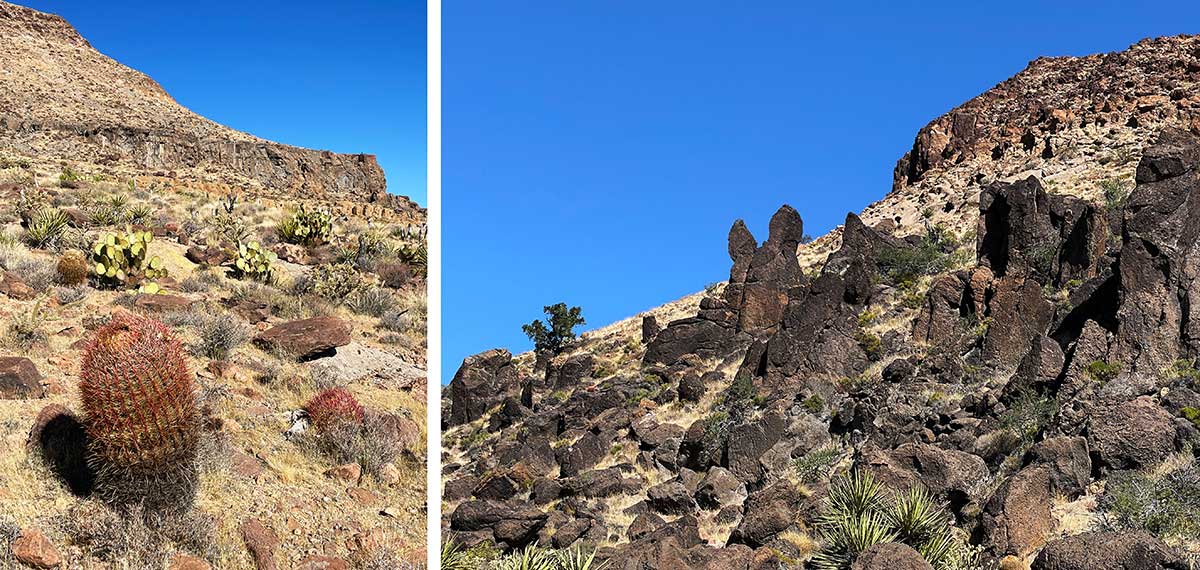 Barber Peak Loop Trail