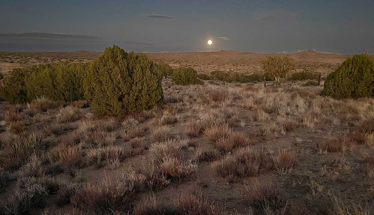 October Full moon rise - Hunter's Moon