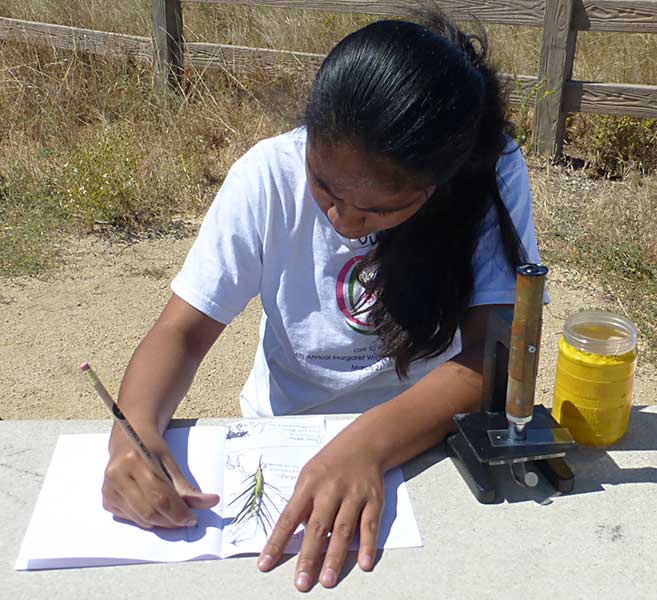 Girl recording her scientific observations at Cooley Landing