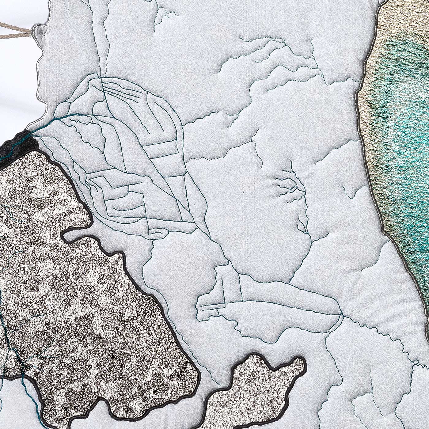 detail image of A Watershed Under Stress ©2024 Linda Gass