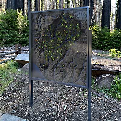 Thumbnail of artwork installation in Big Basin Redwoods State Park