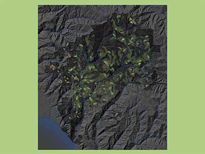 Image of metal print of artwork installation in Big Basin Redwoods State Park